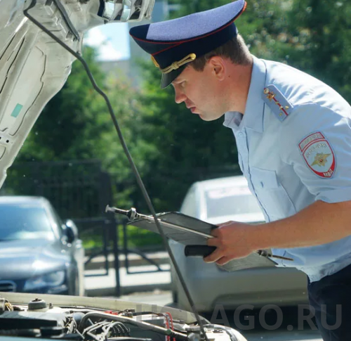 �����������.����������� ���������� � 2020 ����