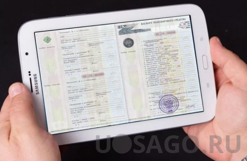 �����������.����������� ���: ��� ��� �����, ������� ���������